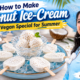 How to make Coconut Ice cream vegan special for summer